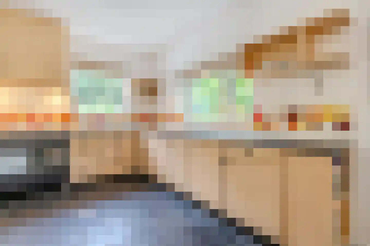Lhee 88 b Dwingeloo foto 3