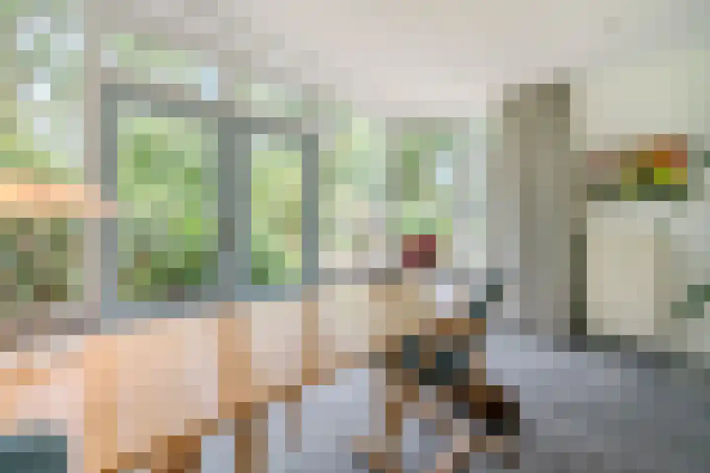 Lhee 88 b Dwingeloo thumbnail 30