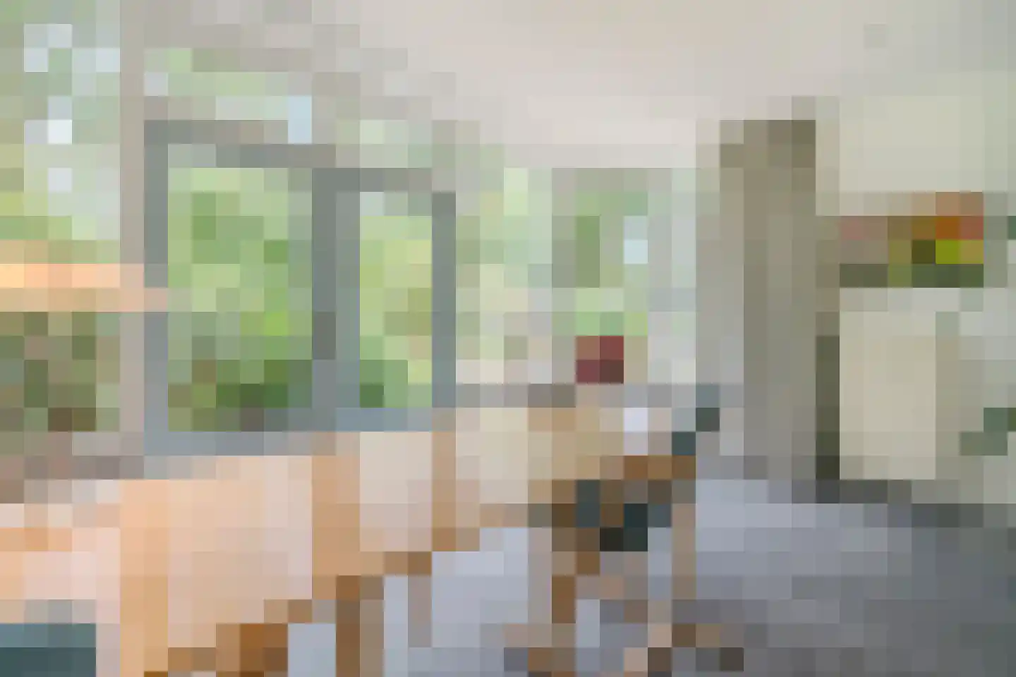 Lhee 88 b Dwingeloo thumbnail 30
