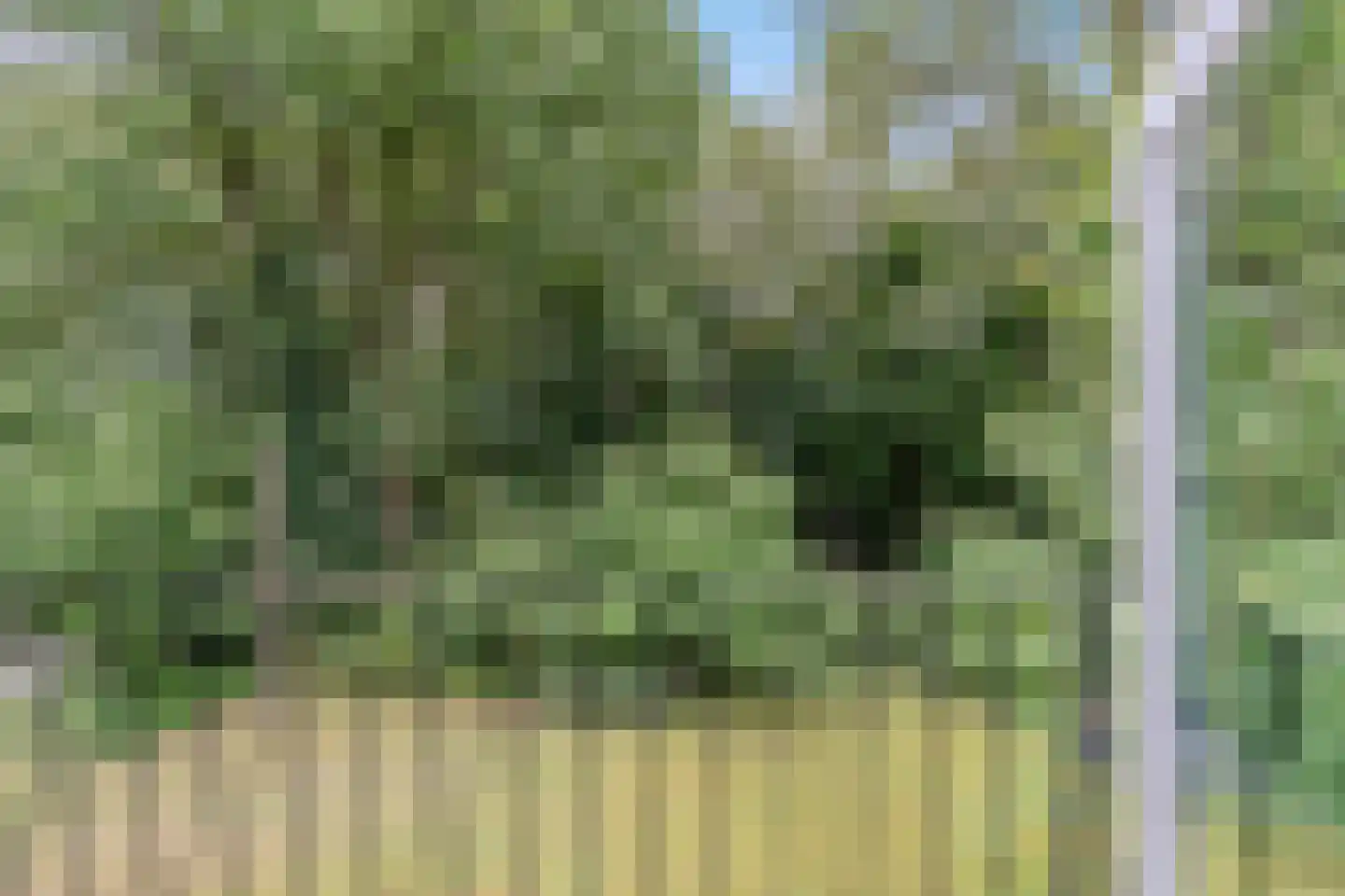 Lhee 88 b Dwingeloo thumbnail 44