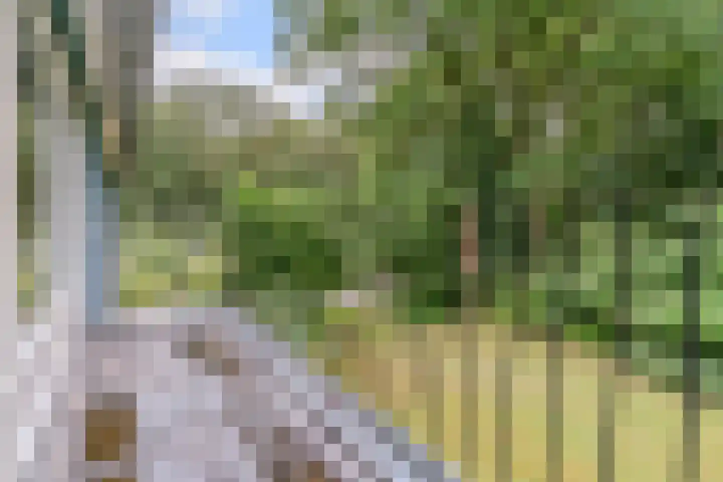Lhee 88 b Dwingeloo thumbnail 45