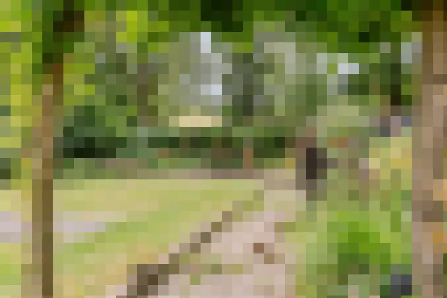 Lhee 88 b Dwingeloo thumbnail 47