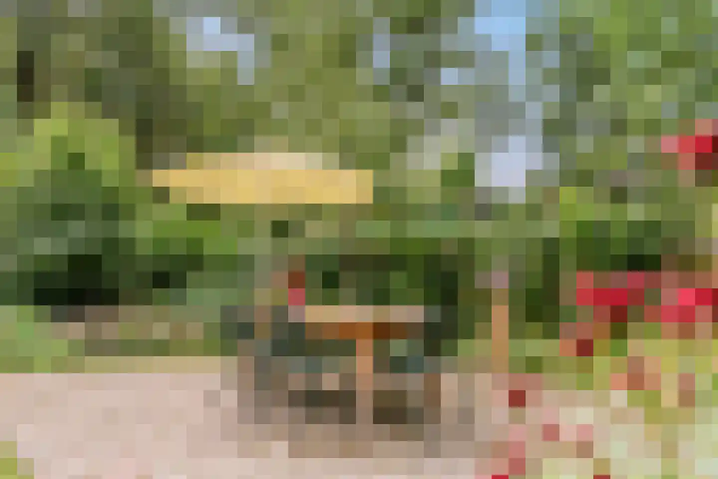 Lhee 88 b Dwingeloo thumbnail 56