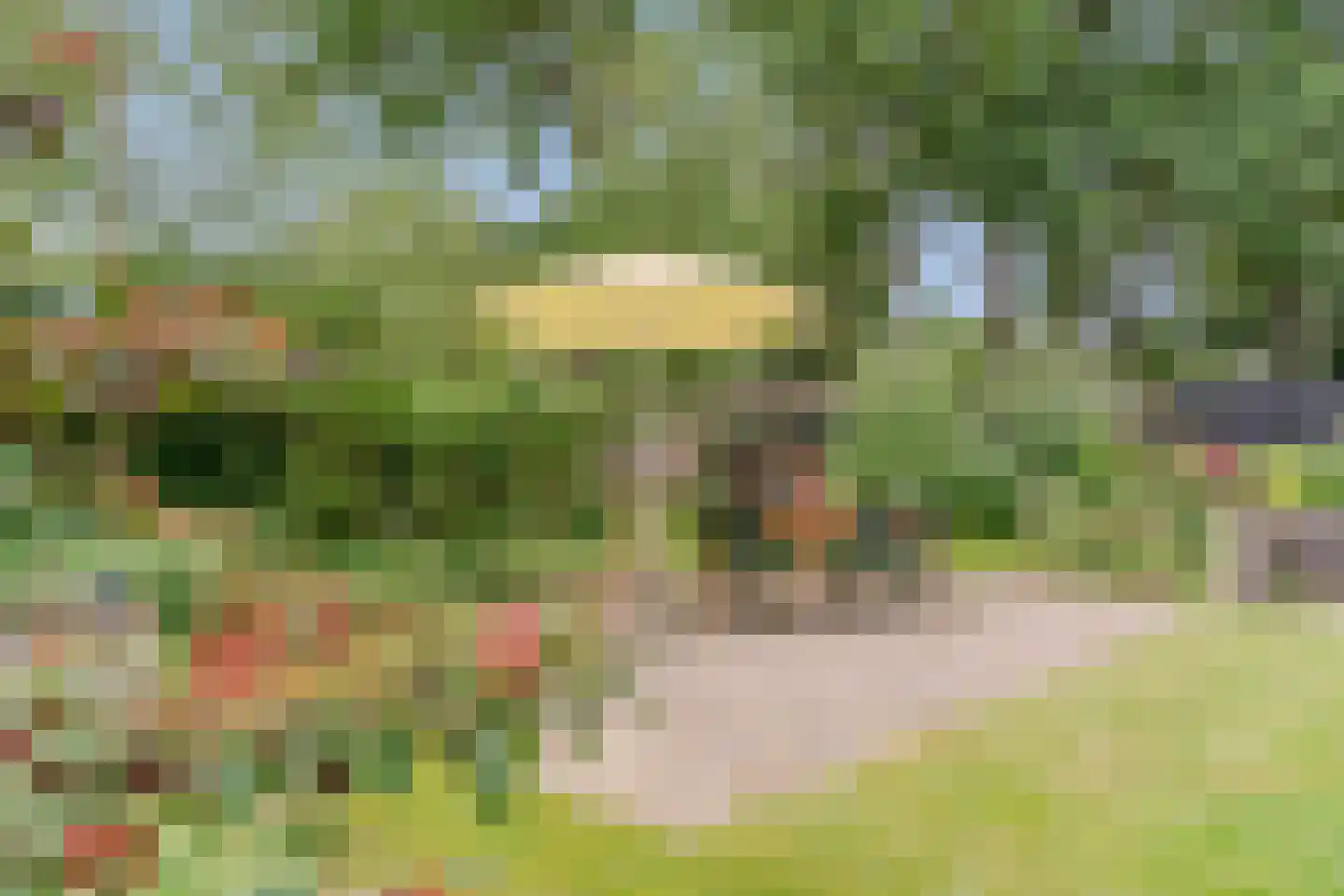 Lhee 88 b Dwingeloo thumbnail 58
