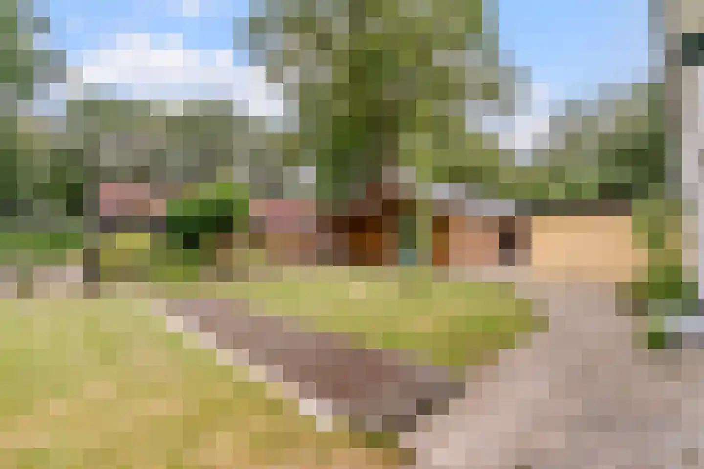 Lhee 88 b Dwingeloo thumbnail 59
