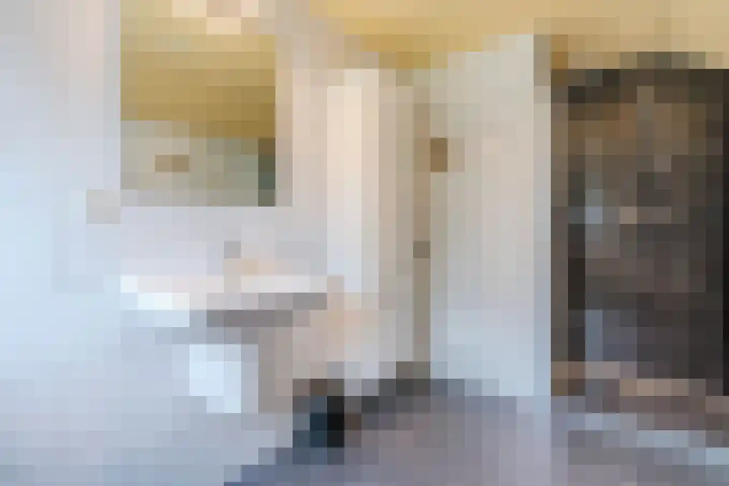 Lhee 88 b Dwingeloo thumbnail 6