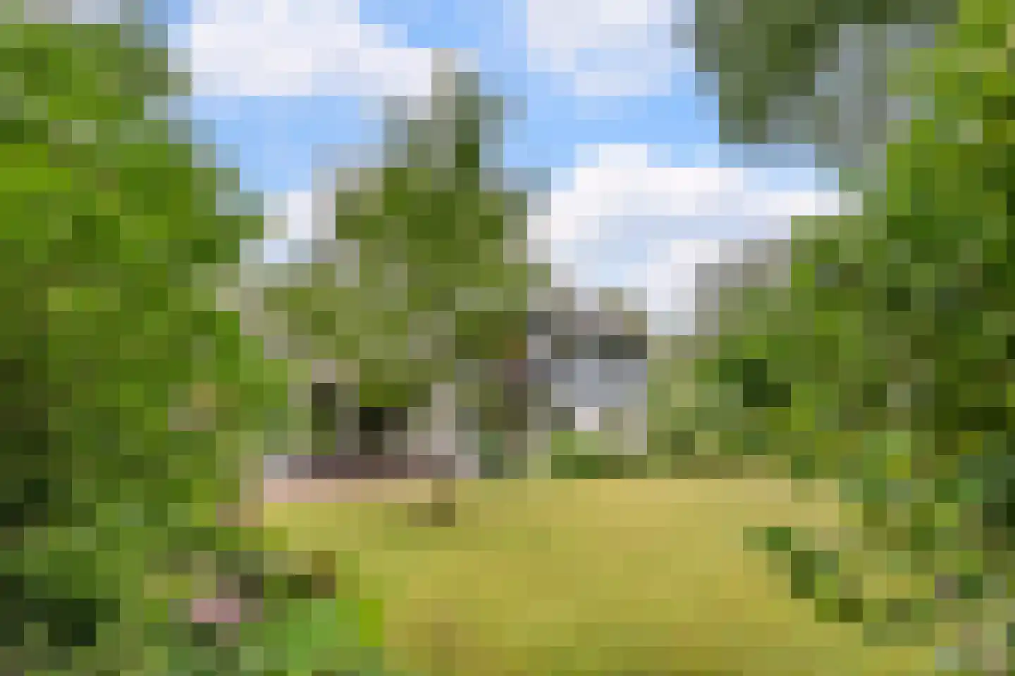 Lhee 88 b Dwingeloo thumbnail 60