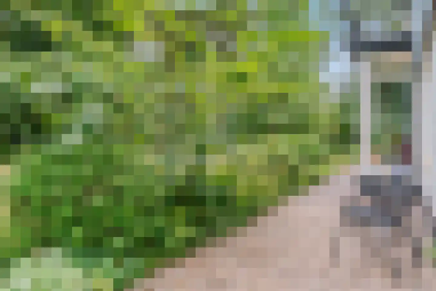 Lhee 88 b Dwingeloo thumbnail 62