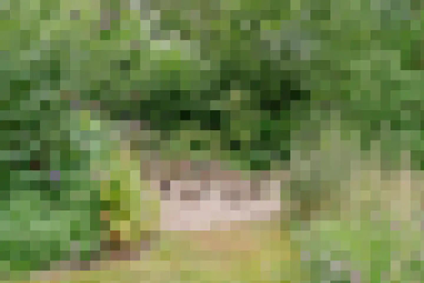 Lhee 88 b Dwingeloo thumbnail 64