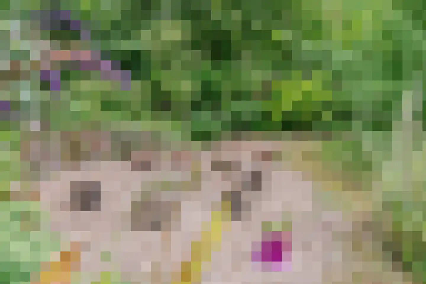 Lhee 88 b Dwingeloo thumbnail 65