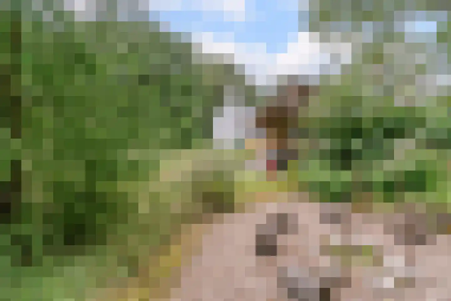 Lhee 88 b Dwingeloo thumbnail 66