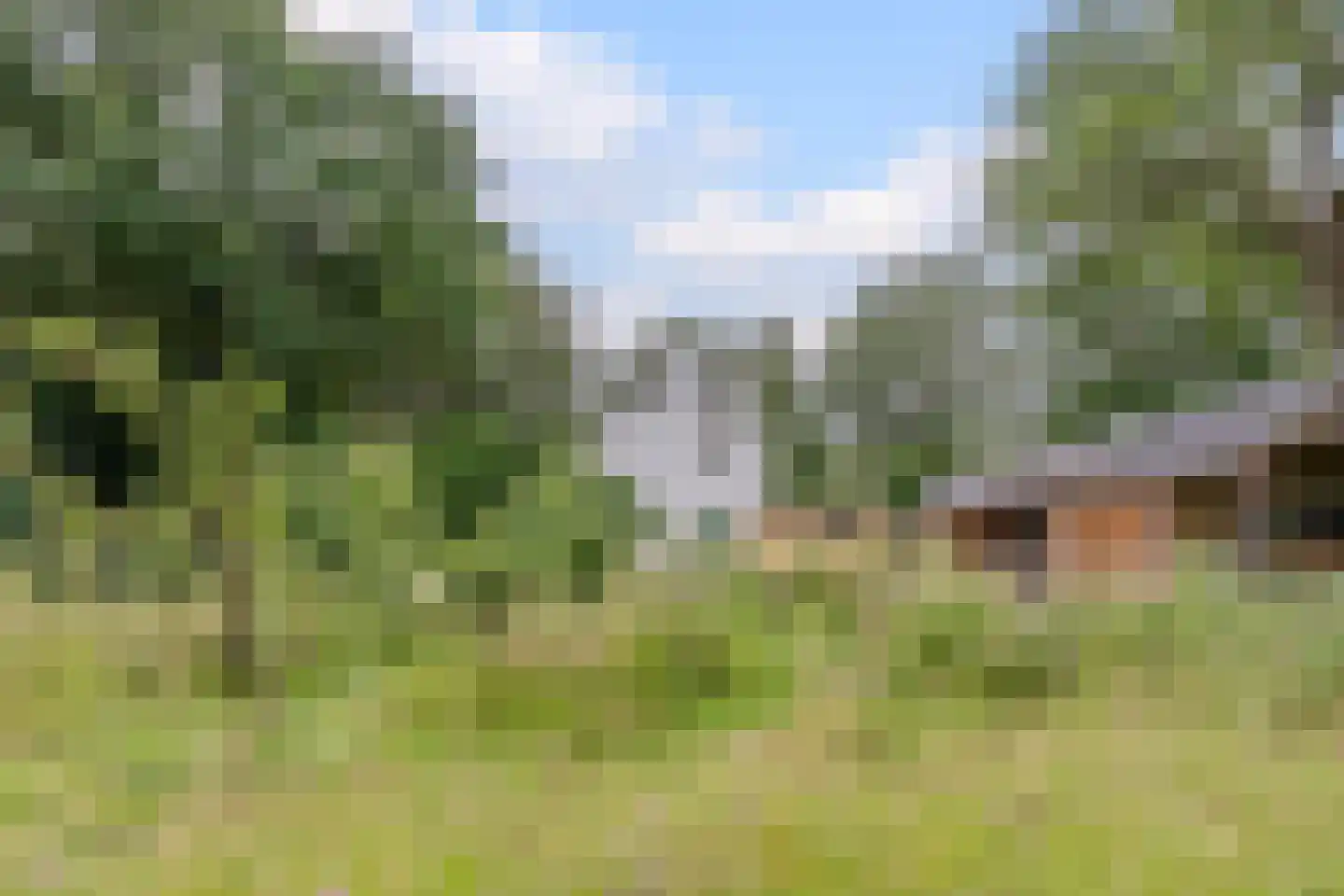Lhee 88 b Dwingeloo thumbnail 67