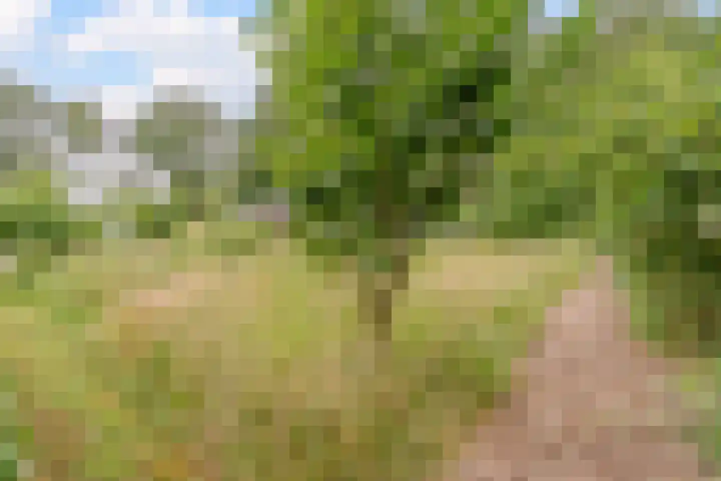 Lhee 88 b Dwingeloo thumbnail 68