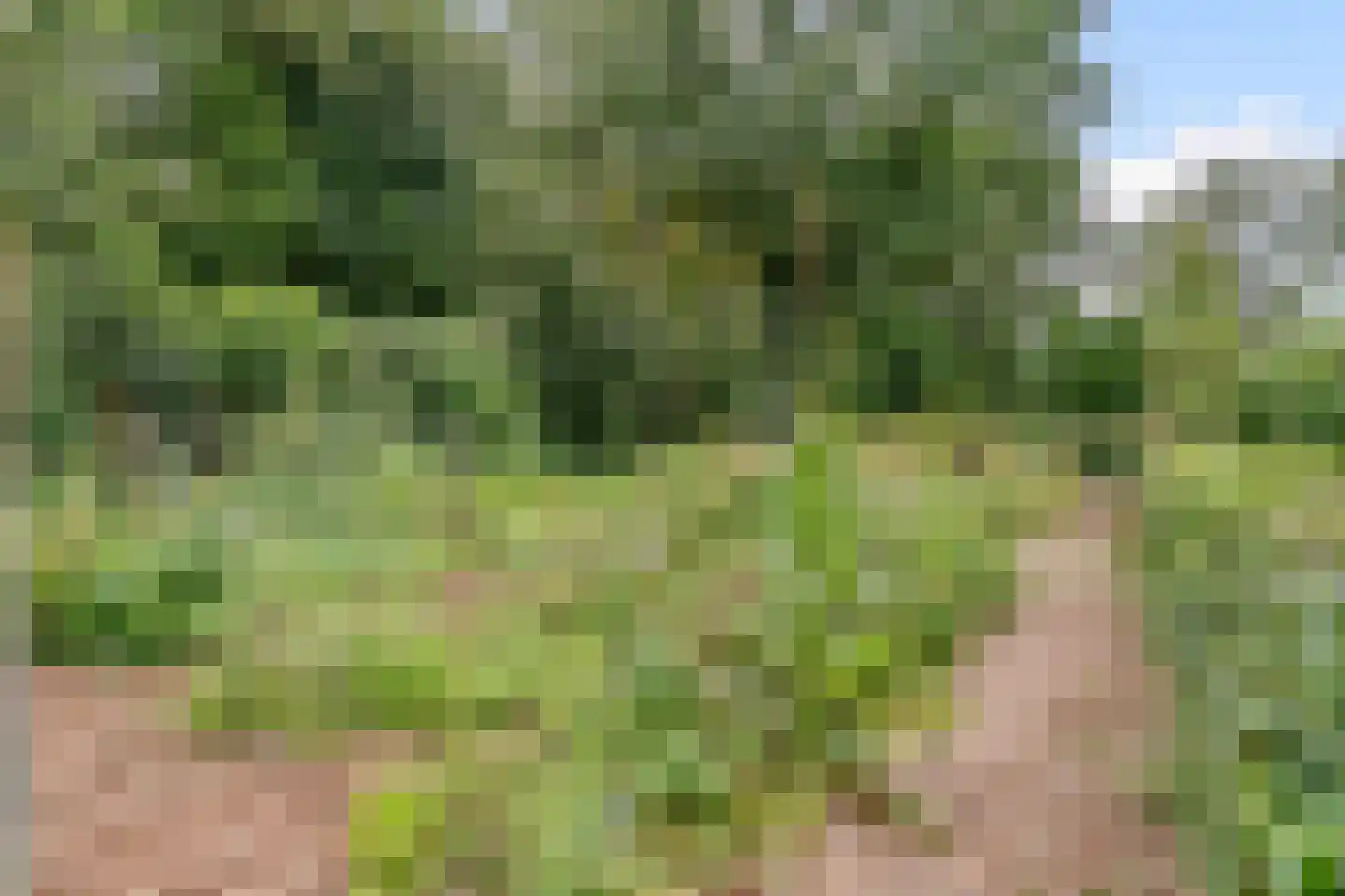 Lhee 88 b Dwingeloo thumbnail 69