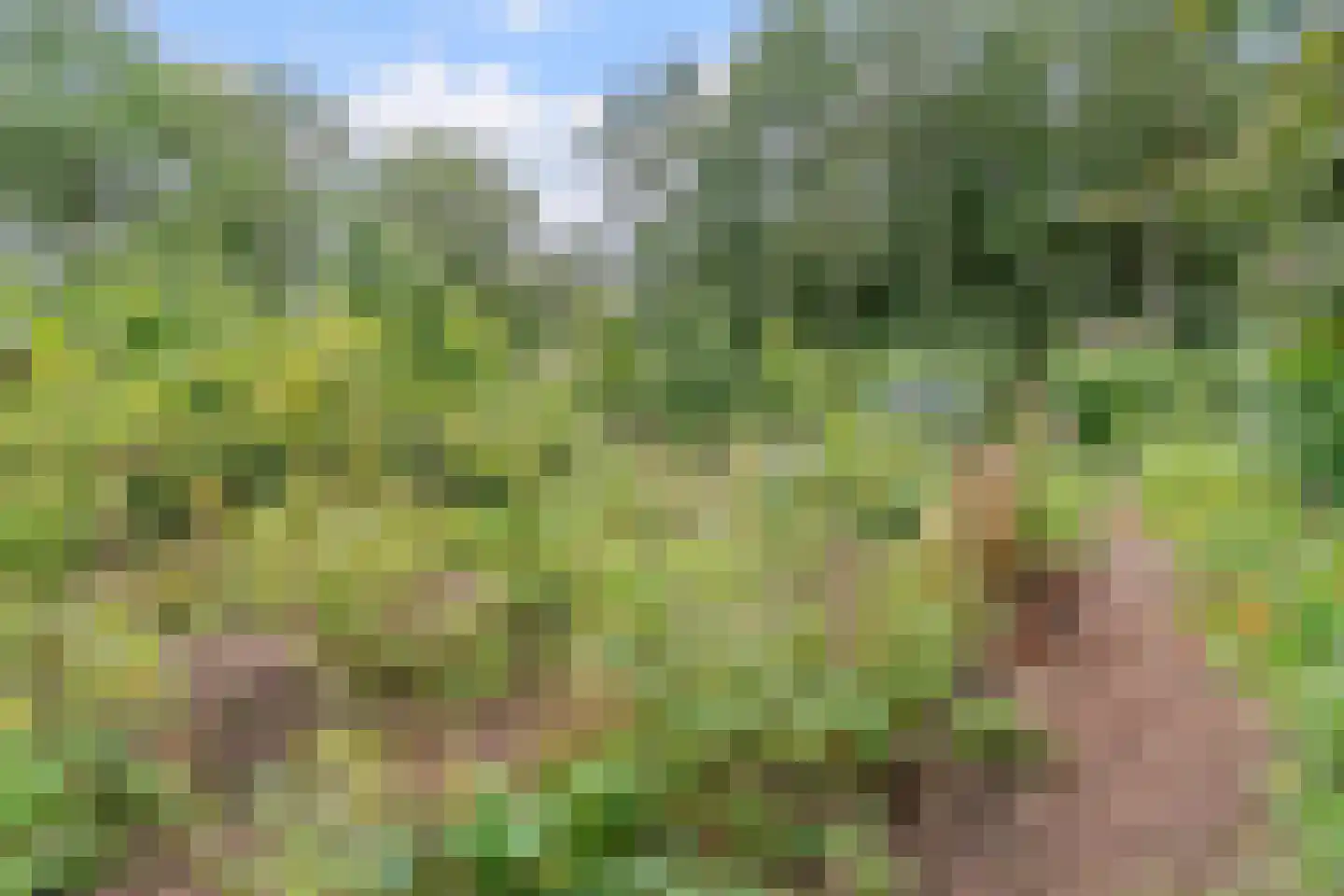 Lhee 88 b Dwingeloo thumbnail 70