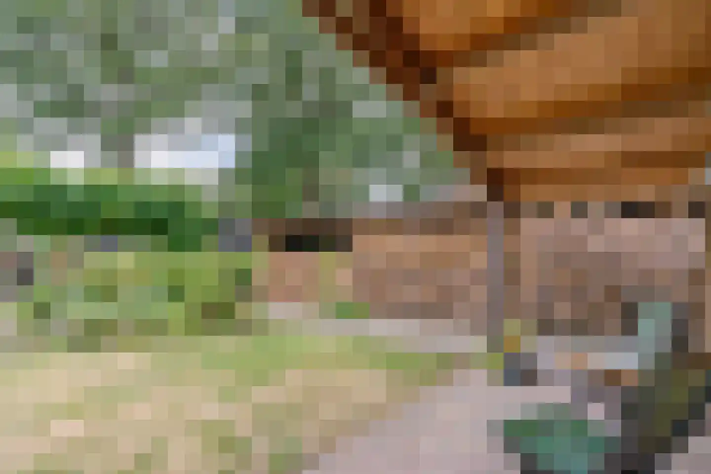 Lhee 88 b Dwingeloo thumbnail 71