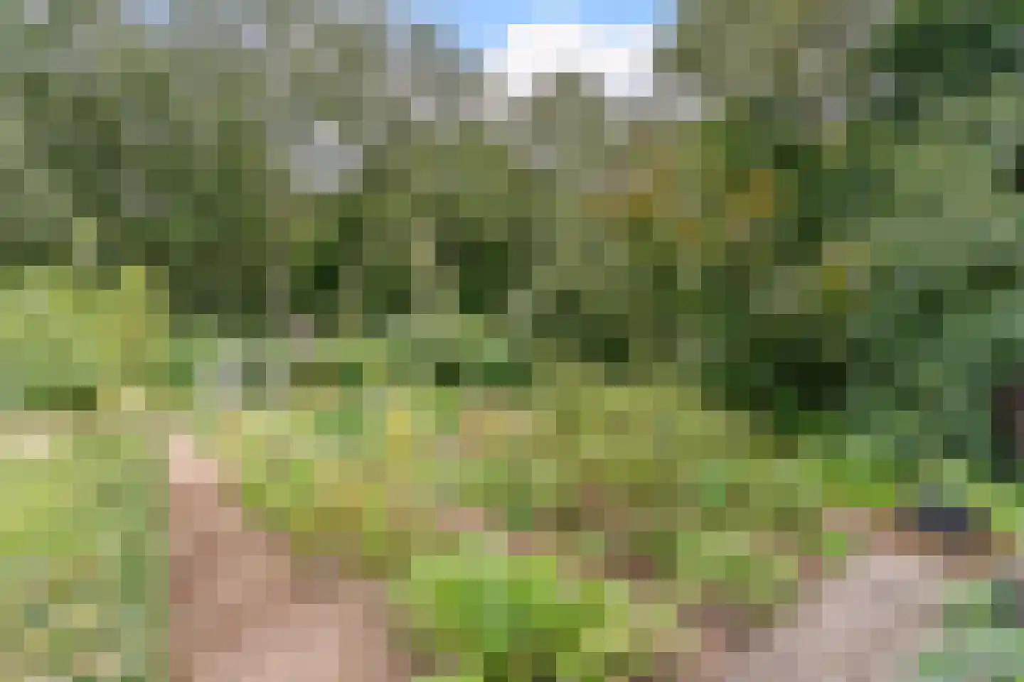 Lhee 88 b Dwingeloo thumbnail 72