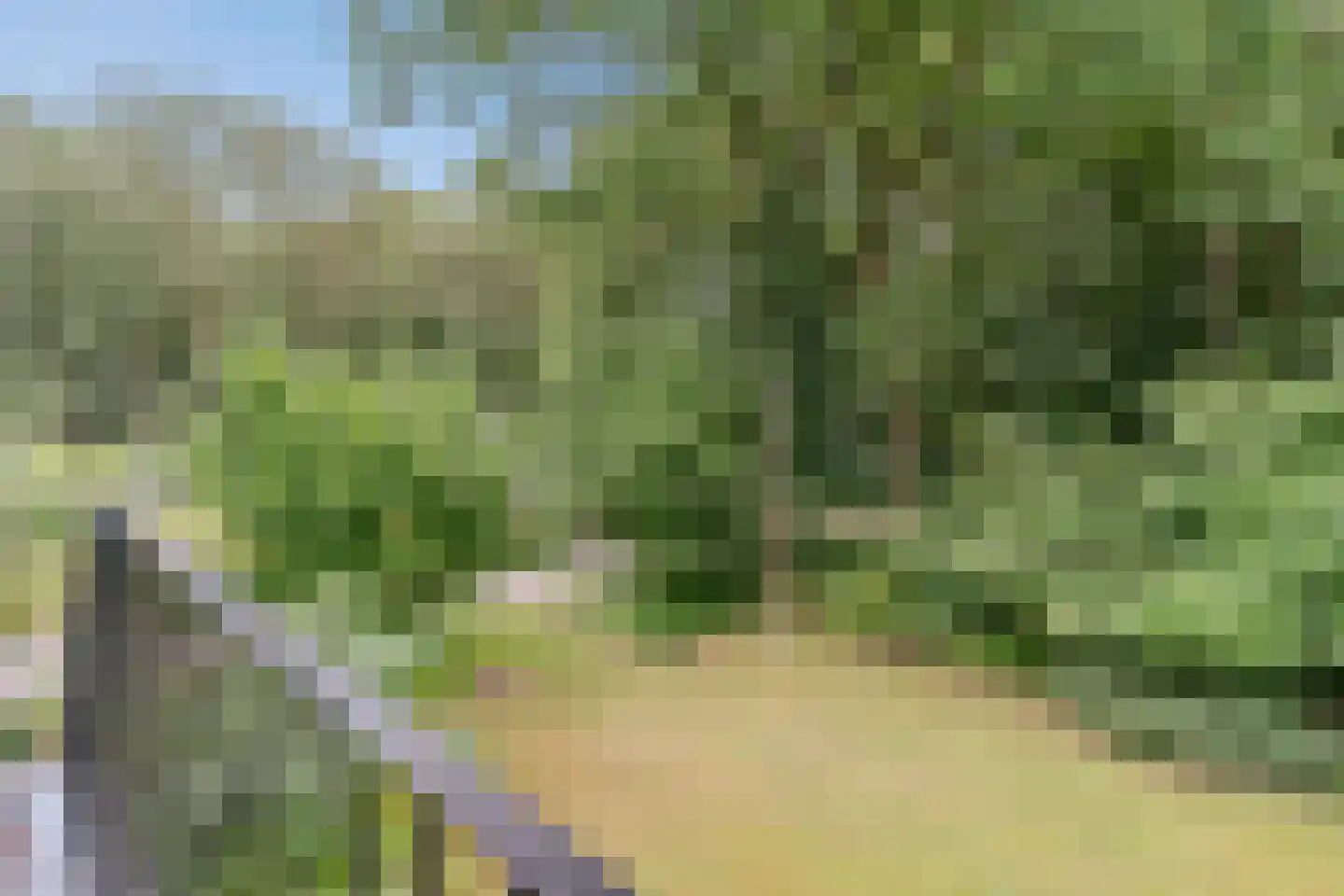 Lhee 88 b Dwingeloo thumbnail 8
