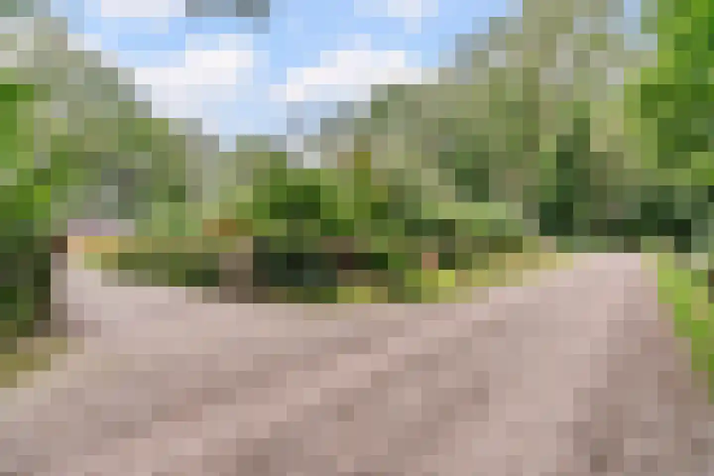 Lhee 88 b Dwingeloo thumbnail 9