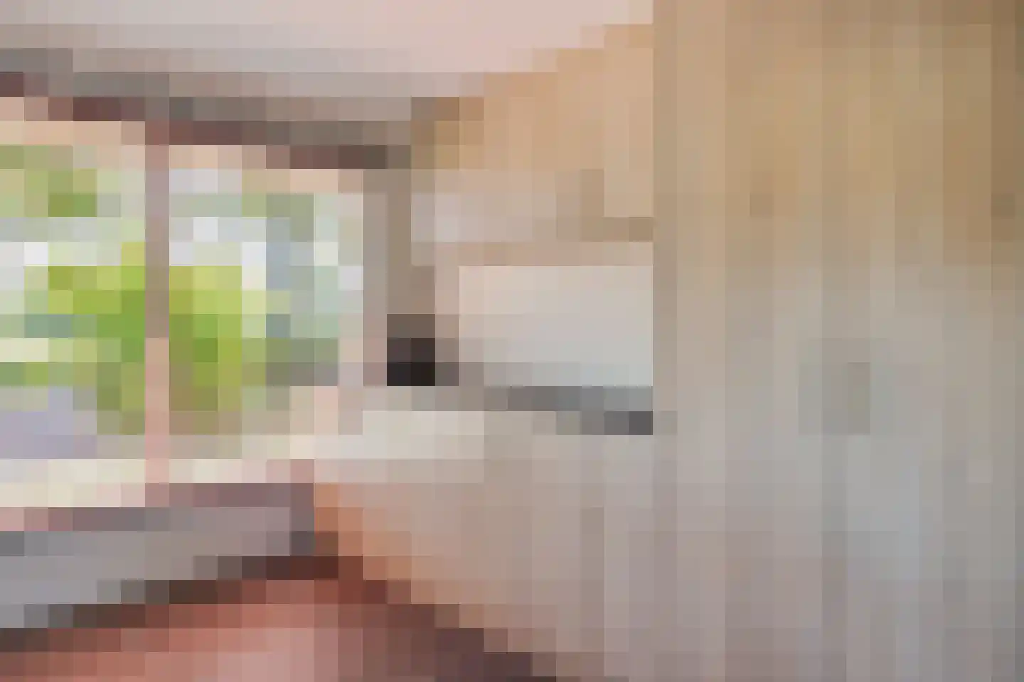 Lheebroek 12 Dwingeloo thumbnail 30