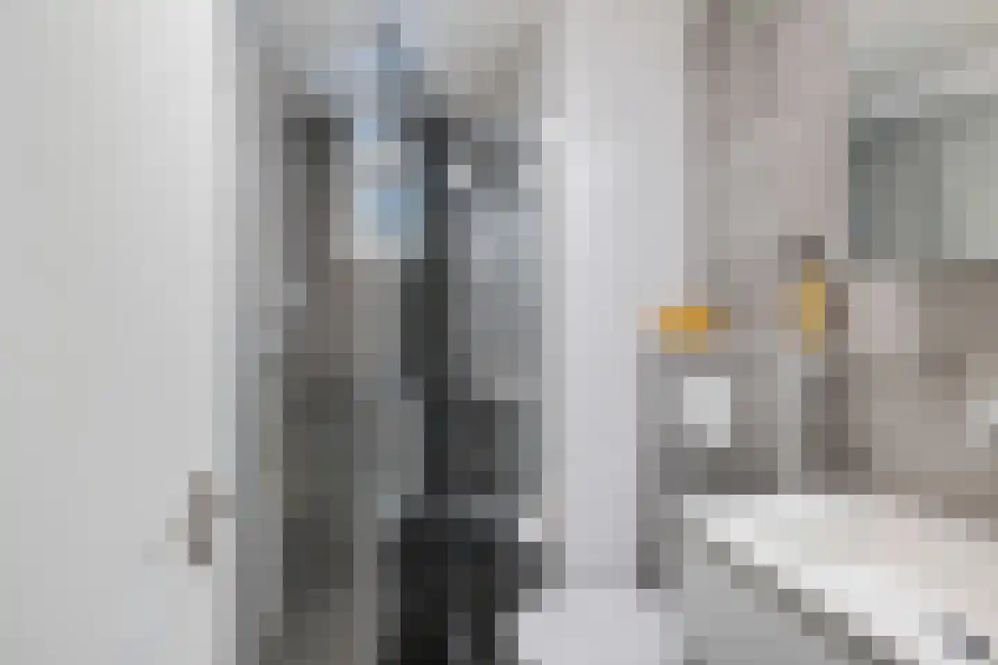 Lheebroek 12 Dwingeloo thumbnail 34