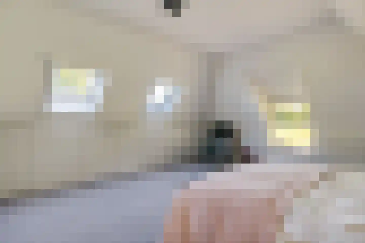 Lheebroek 12 Dwingeloo thumbnail 39