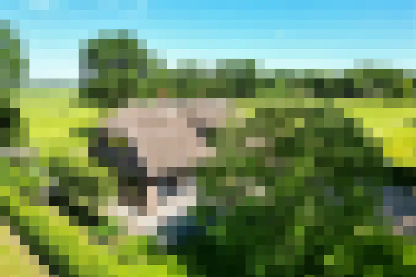 Lheebroek 12 Dwingeloo thumbnail 4