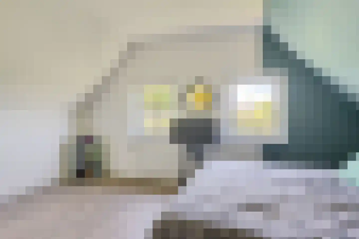 Lheebroek 12 Dwingeloo thumbnail 43