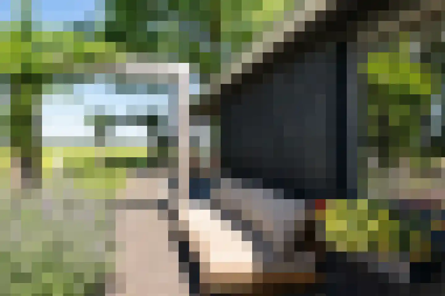 Lheebroek 12 Dwingeloo thumbnail 46