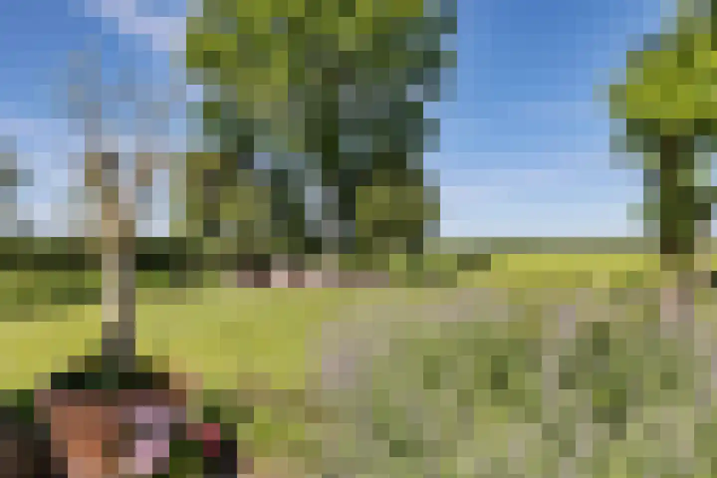 Lheebroek 12 Dwingeloo thumbnail 47