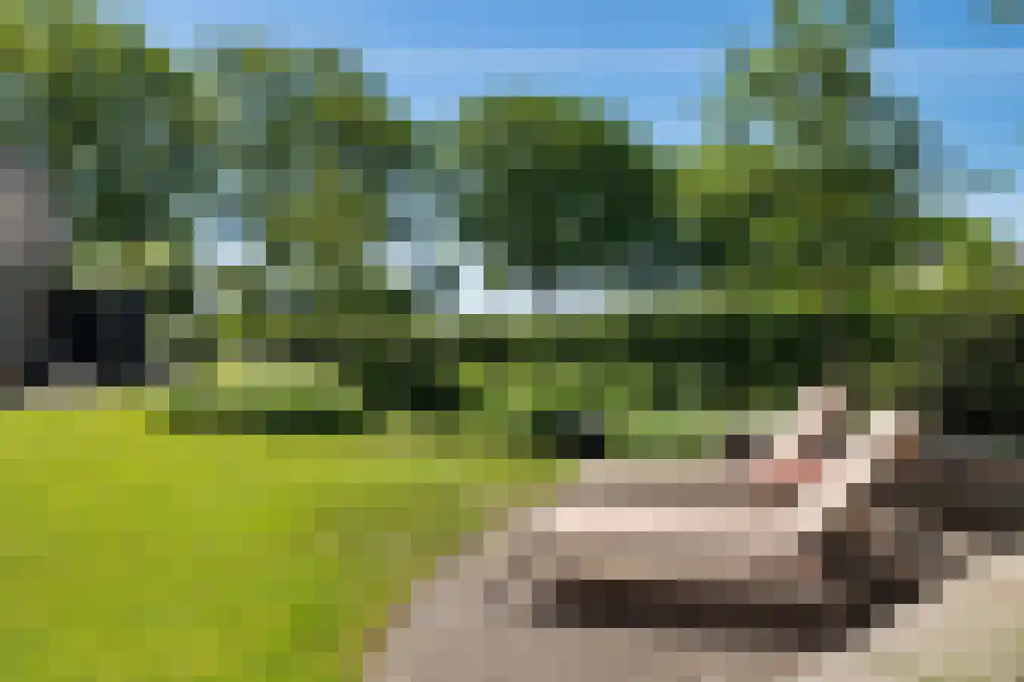 Lheebroek 12 Dwingeloo thumbnail 53