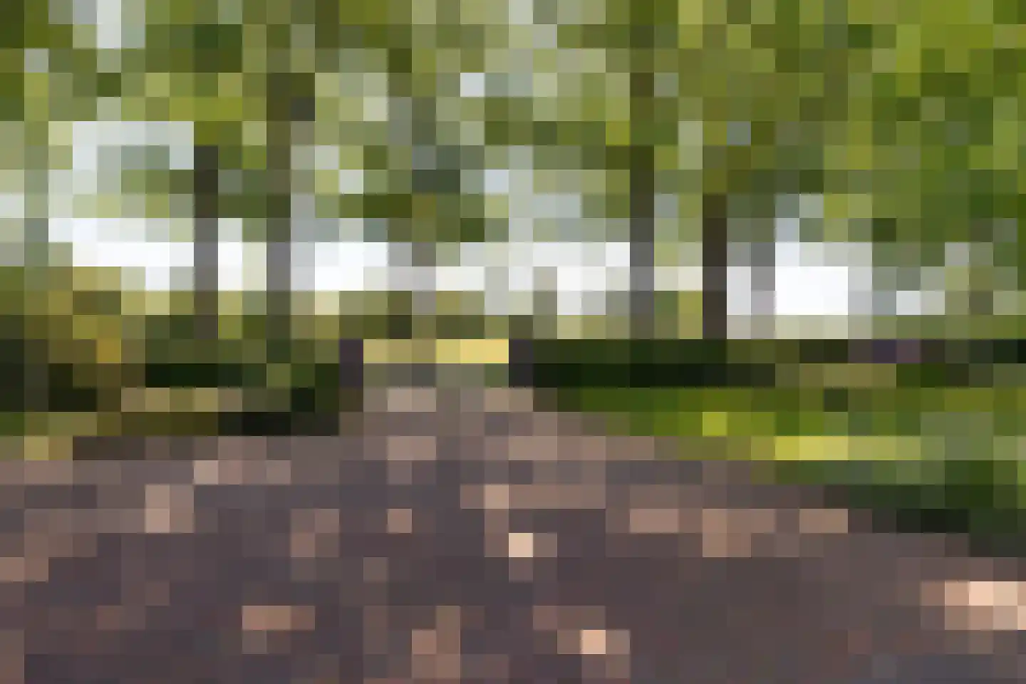 Lheebroek 12 Dwingeloo thumbnail 9