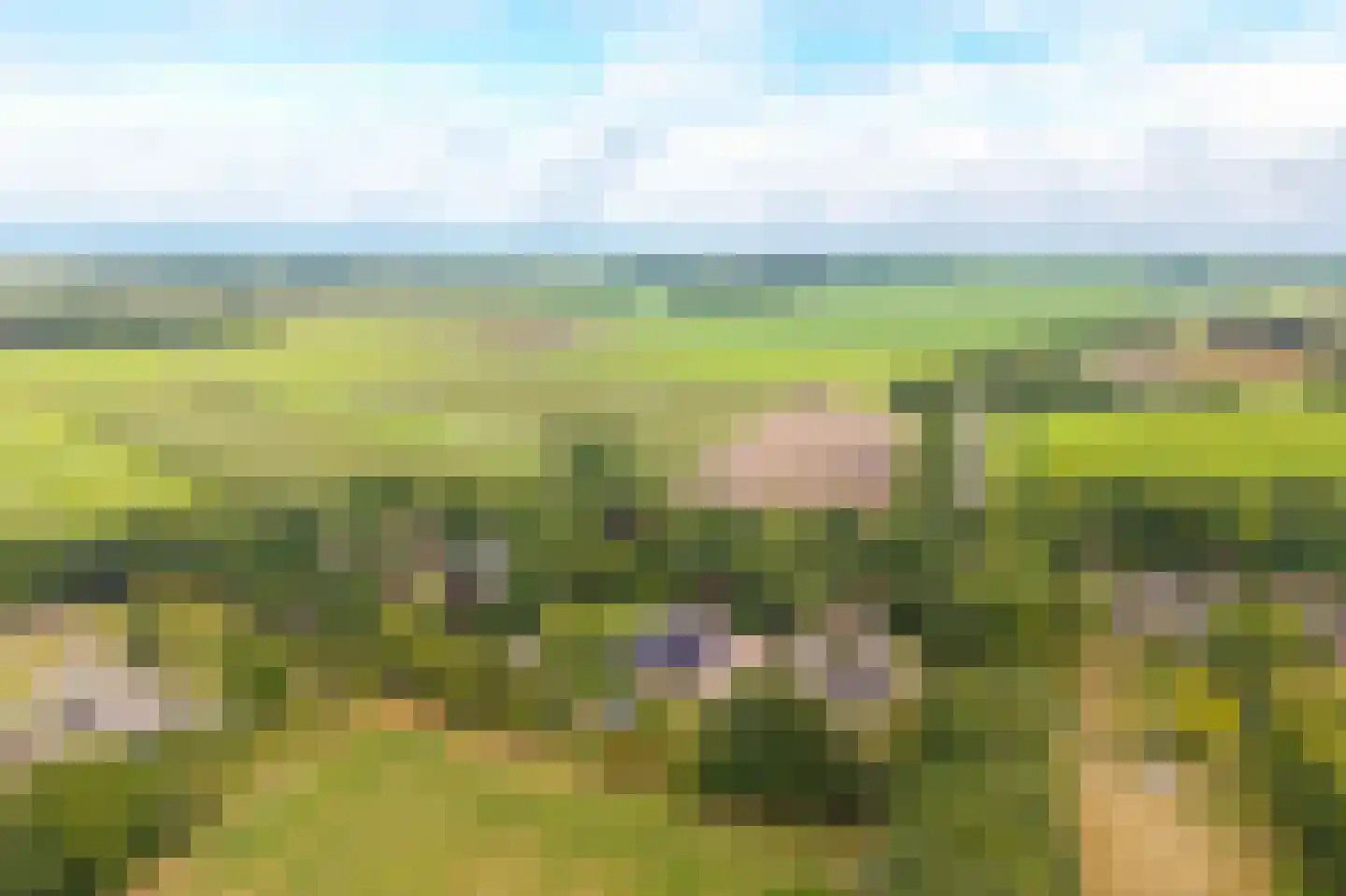 Lheebroek 14 Dwingeloo thumbnail 100