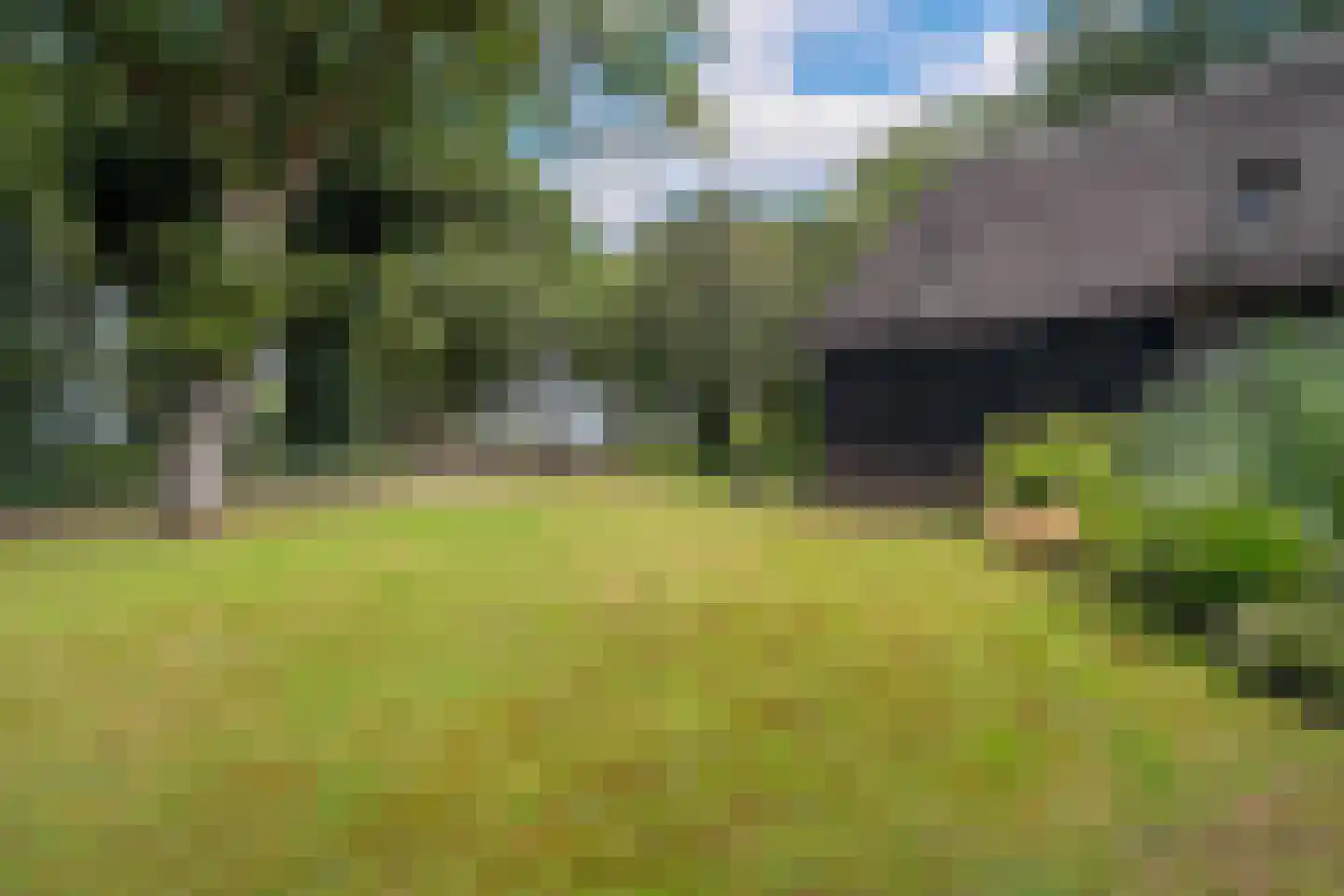Lheebroek 14 Dwingeloo thumbnail 15