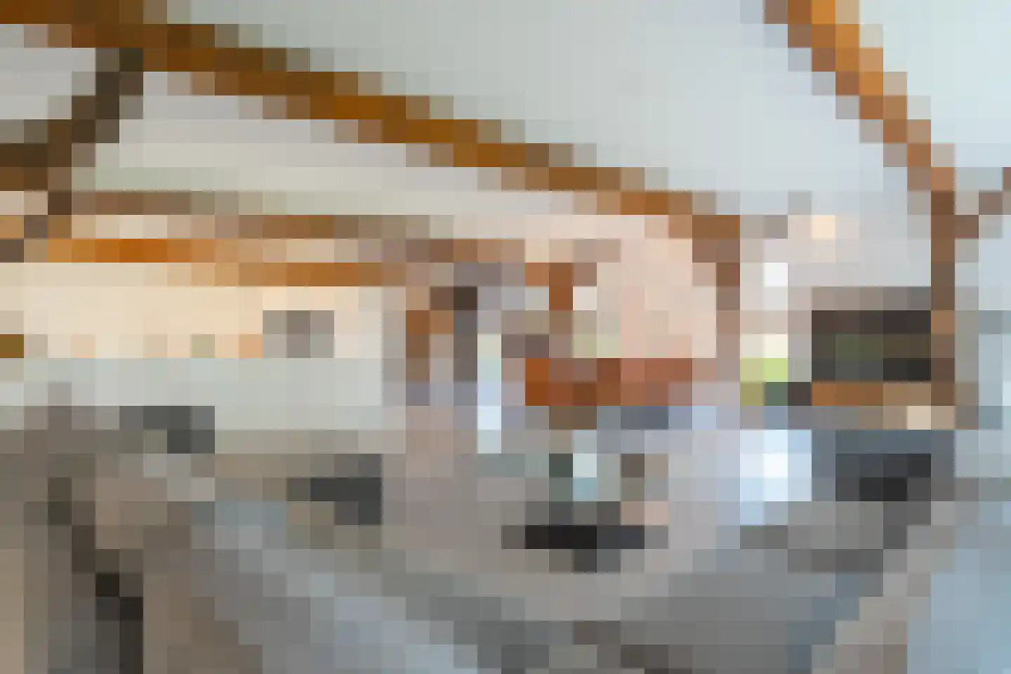 Lheebroek 14 Dwingeloo thumbnail 20