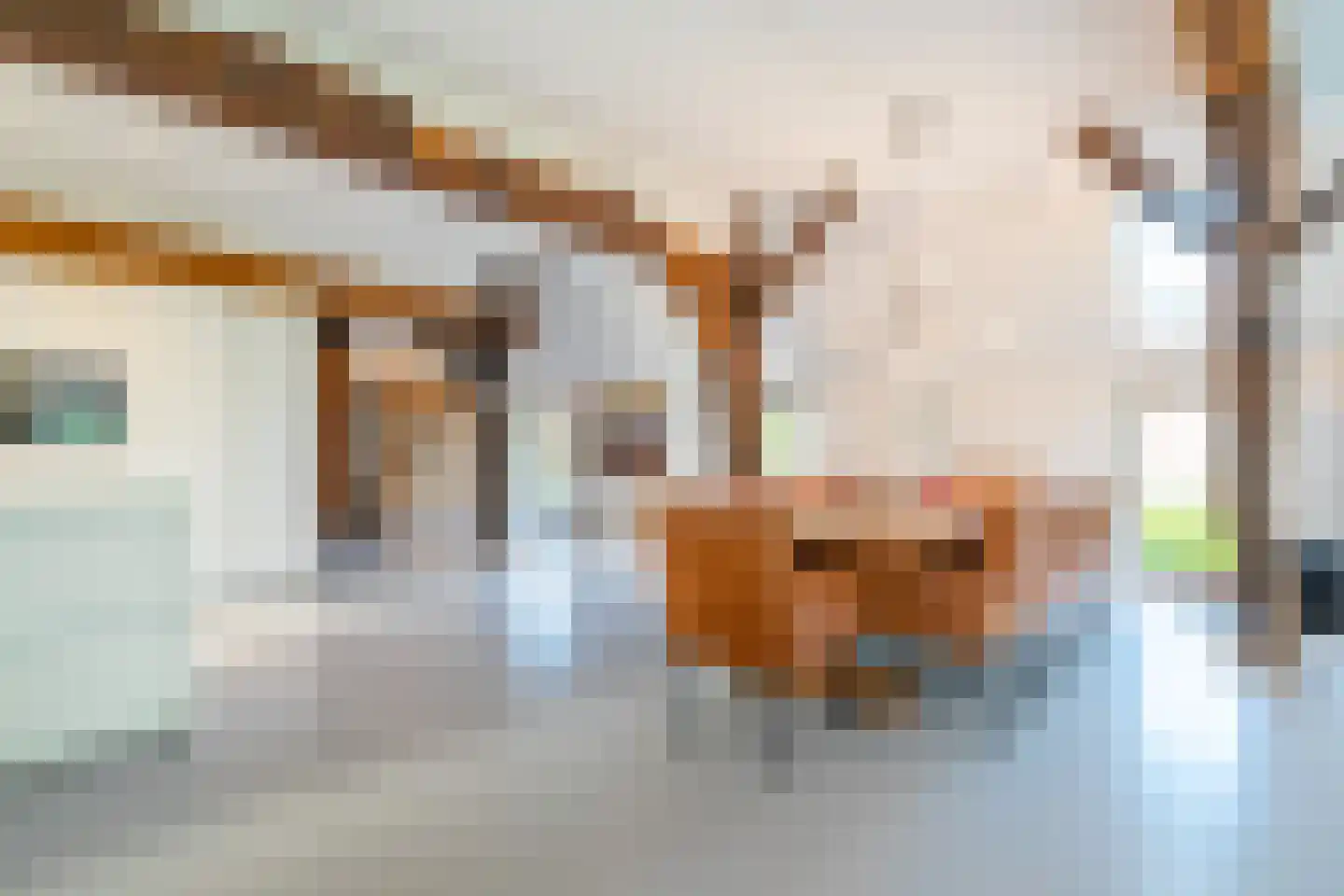 Lheebroek 14 Dwingeloo thumbnail 21