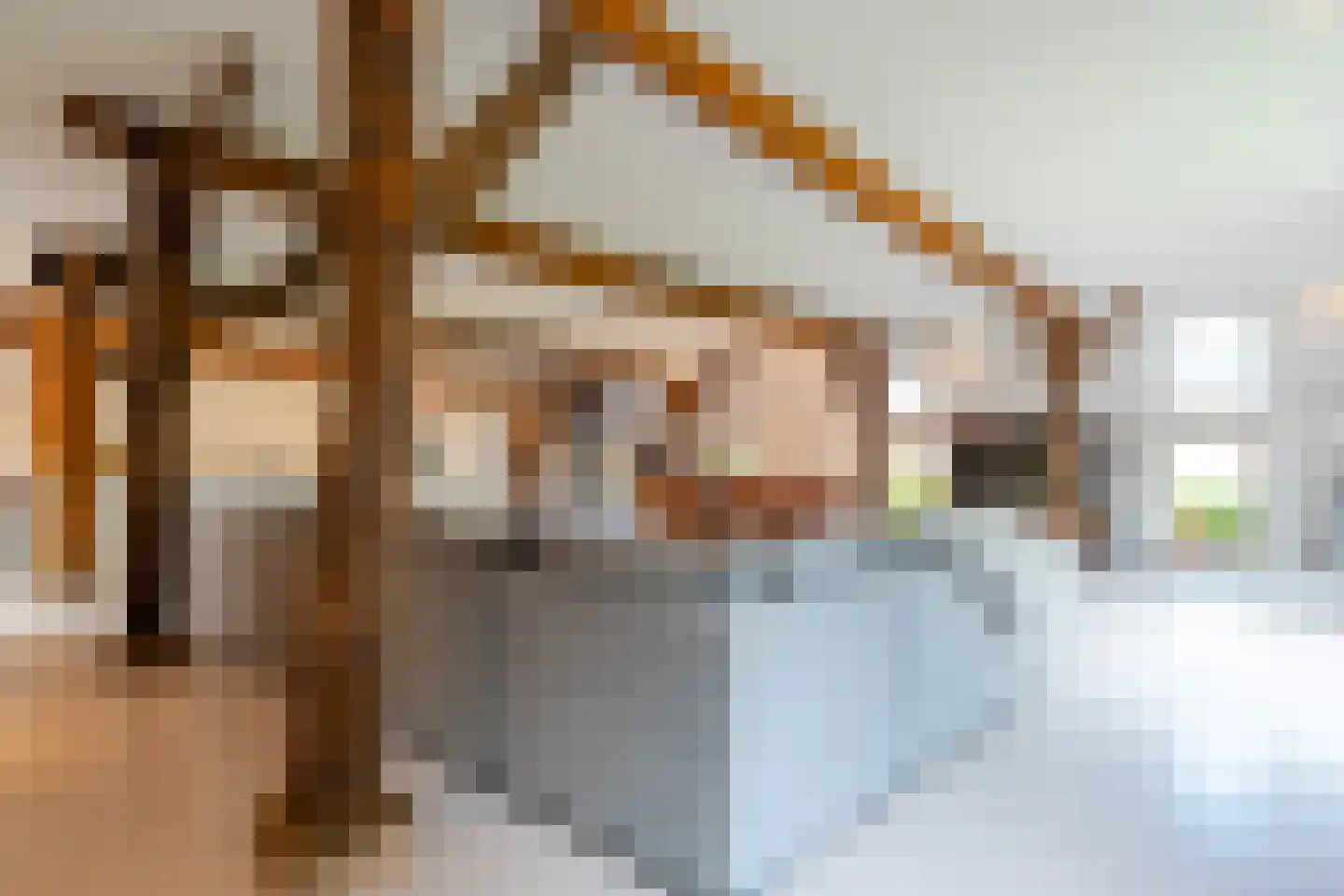 Lheebroek 14 Dwingeloo thumbnail 24