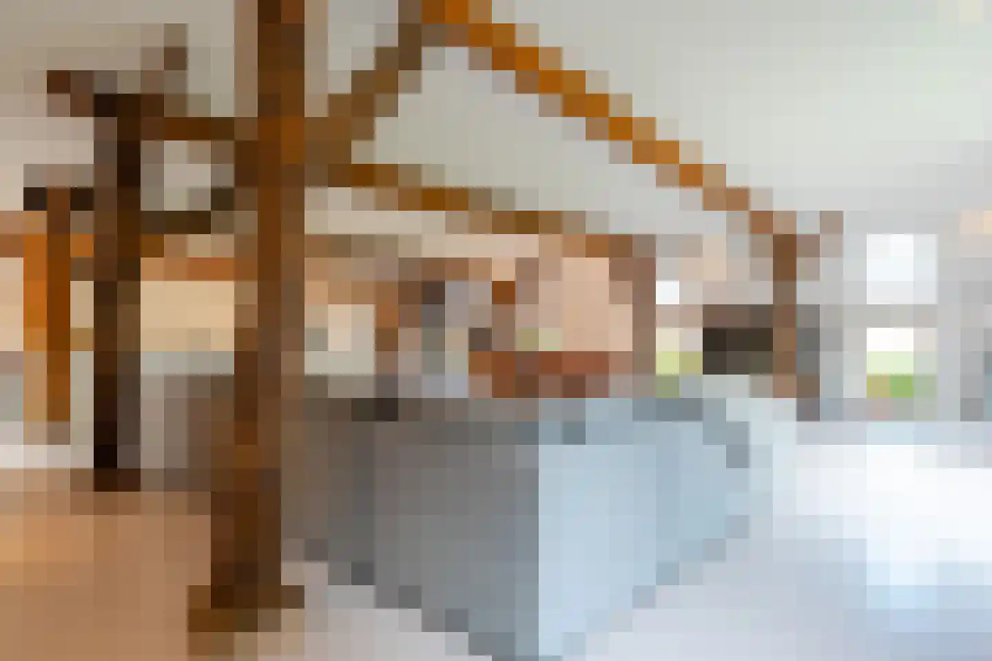 Lheebroek 14 Dwingeloo thumbnail 24