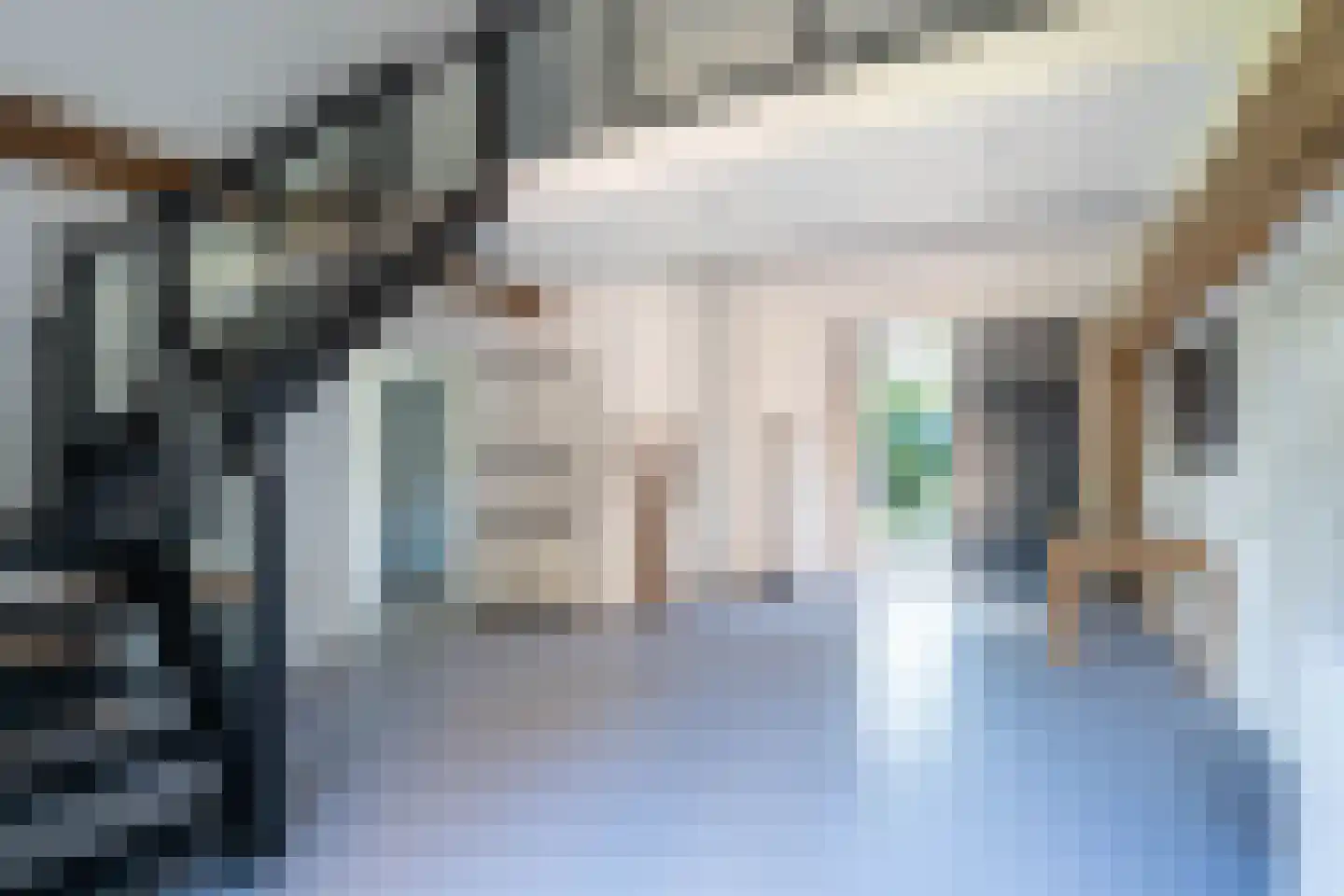 Lheebroek 14 Dwingeloo thumbnail 40