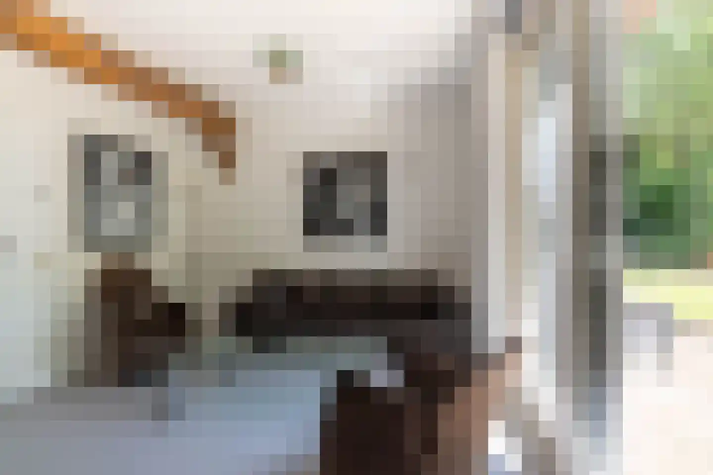 Lheebroek 14 Dwingeloo thumbnail 43