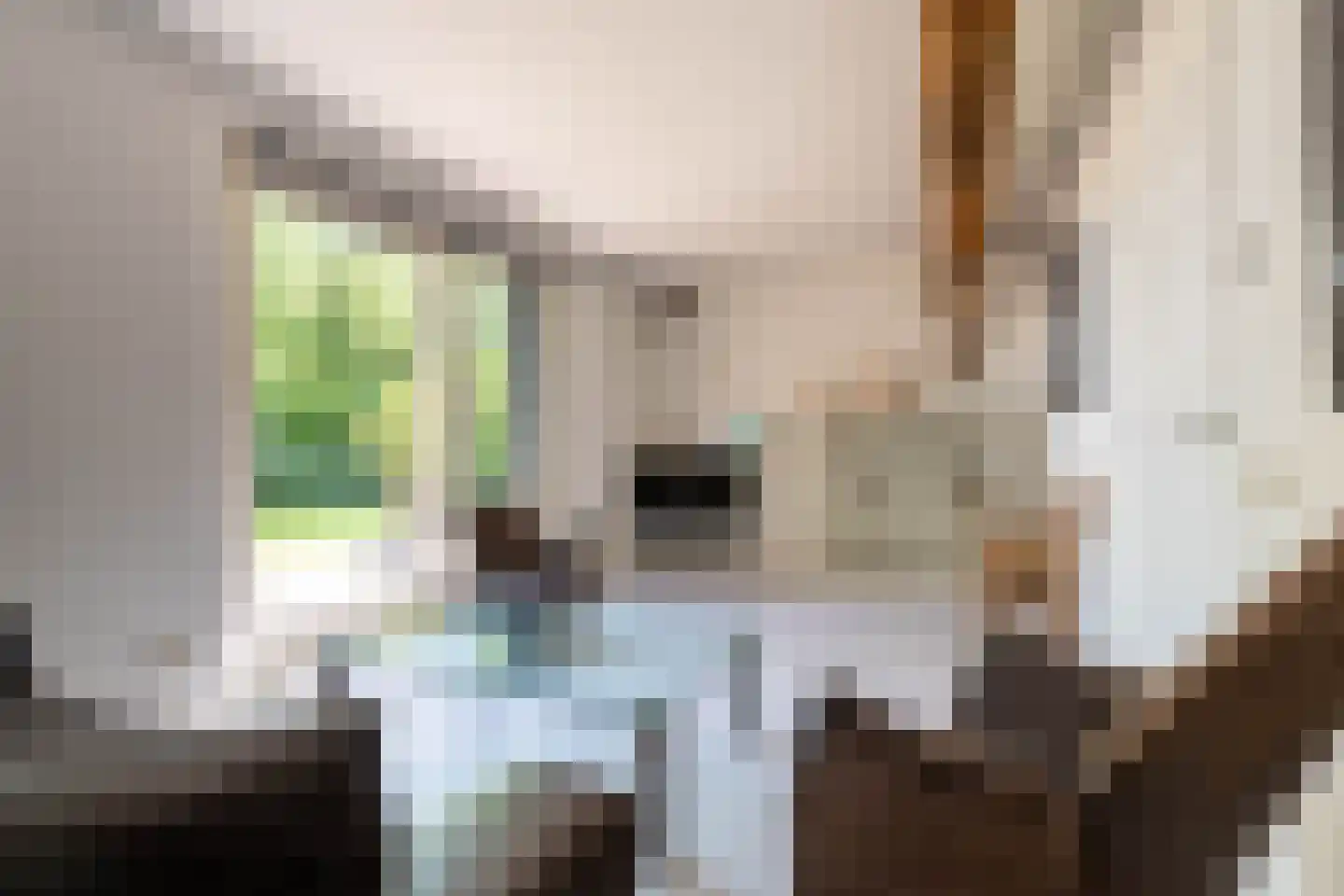 Lheebroek 14 Dwingeloo thumbnail 44