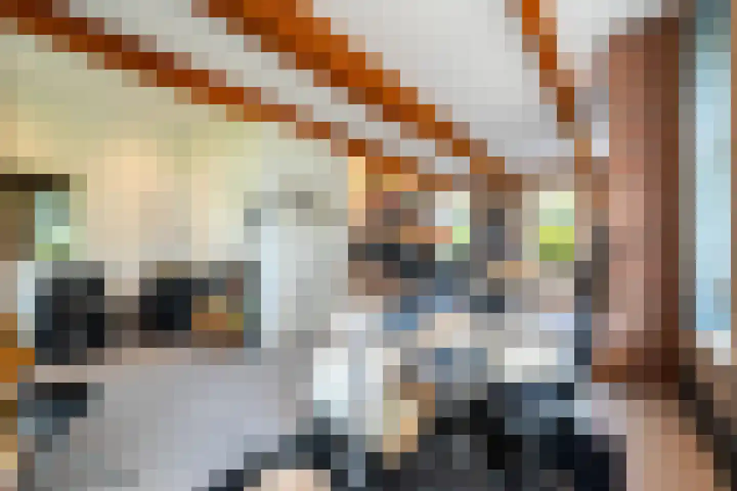 Lheebroek 14 Dwingeloo thumbnail 46