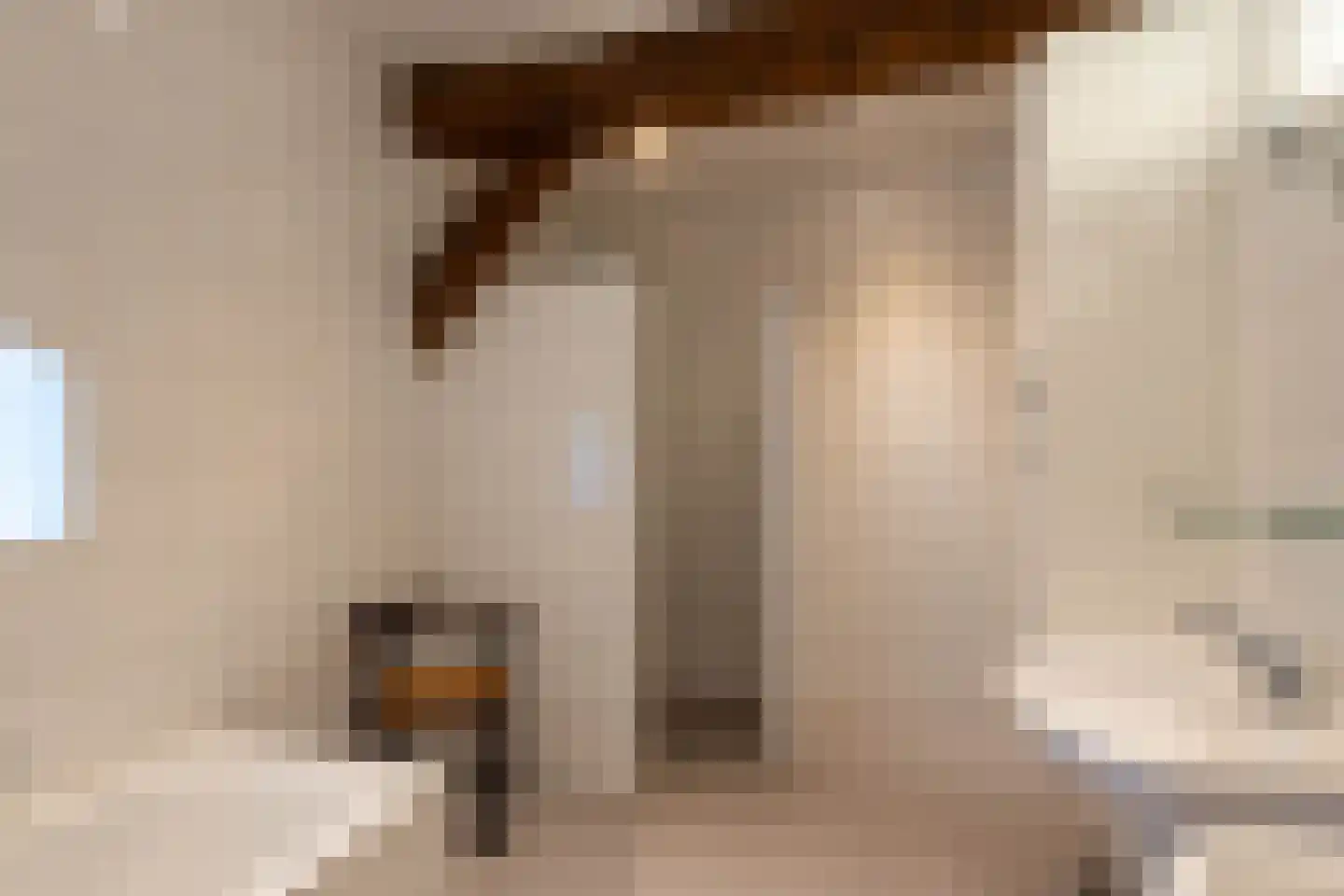 Lheebroek 14 Dwingeloo thumbnail 47