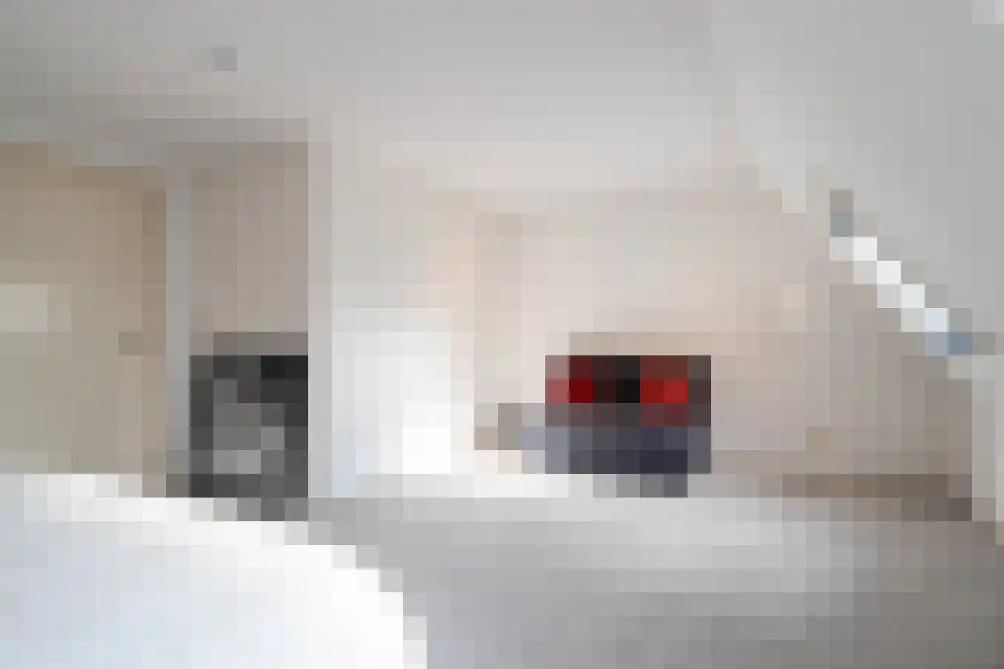 Lheebroek 14 Dwingeloo thumbnail 58