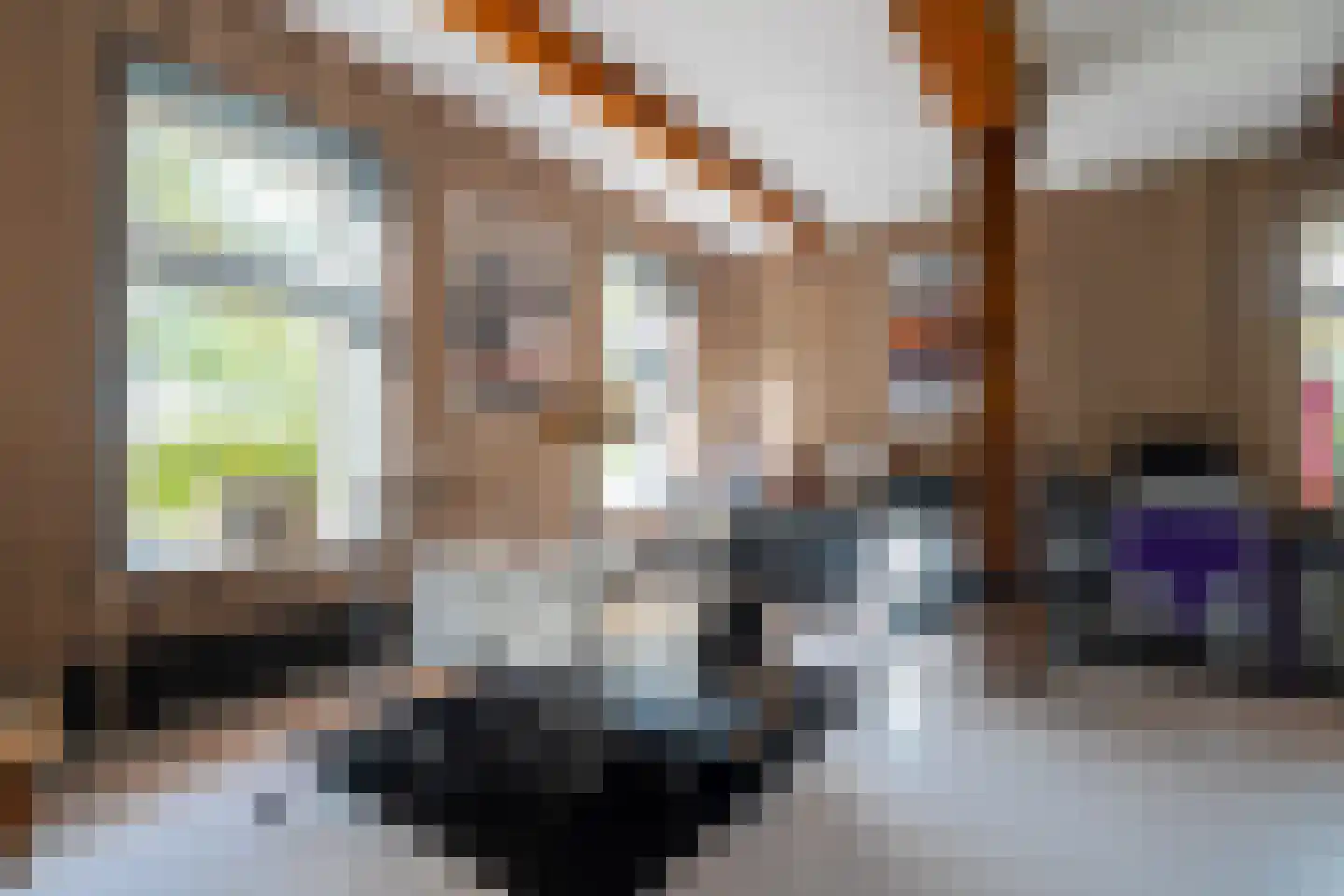 Lheebroek 14 Dwingeloo thumbnail 60