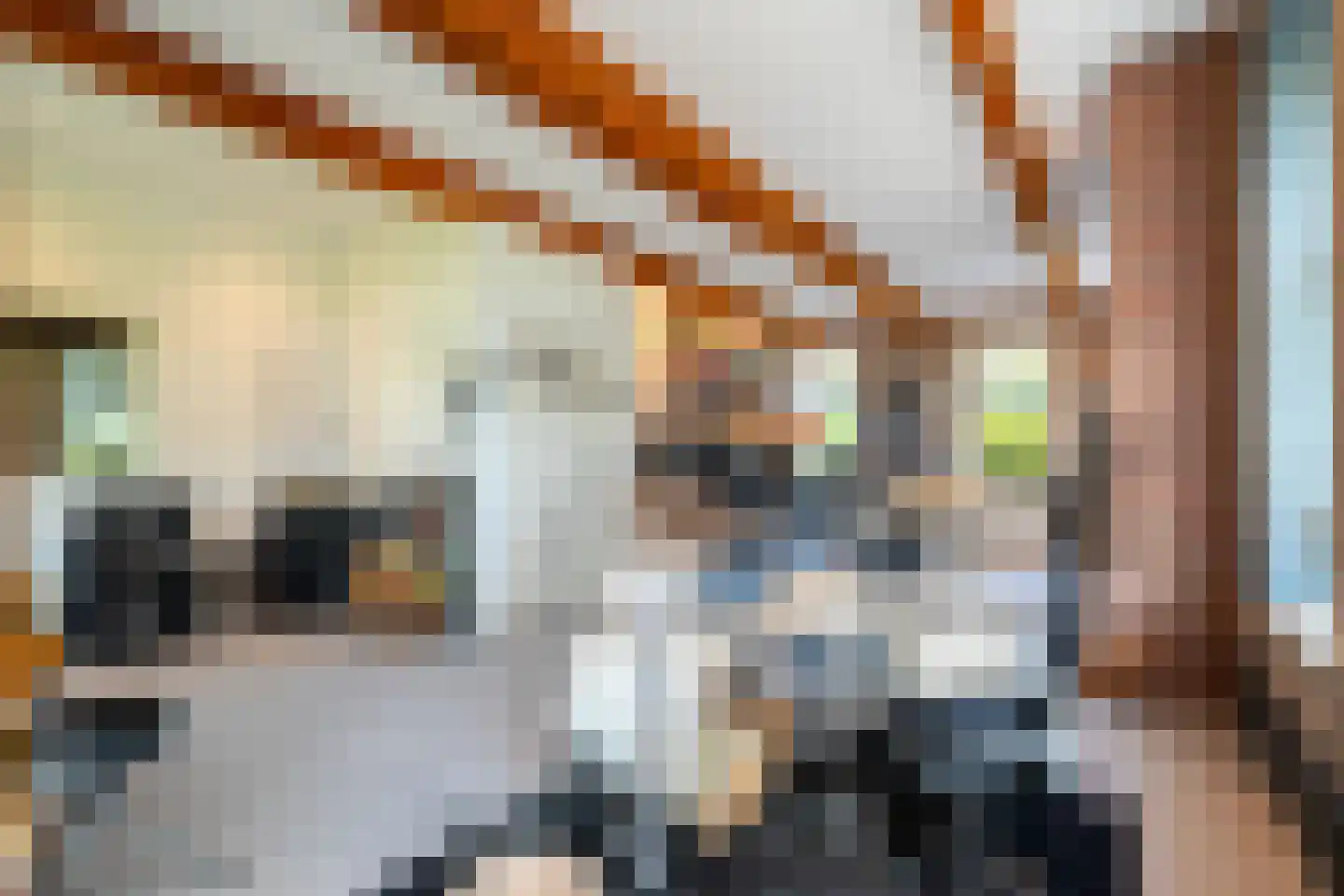 Lheebroek 14 Dwingeloo thumbnail 61