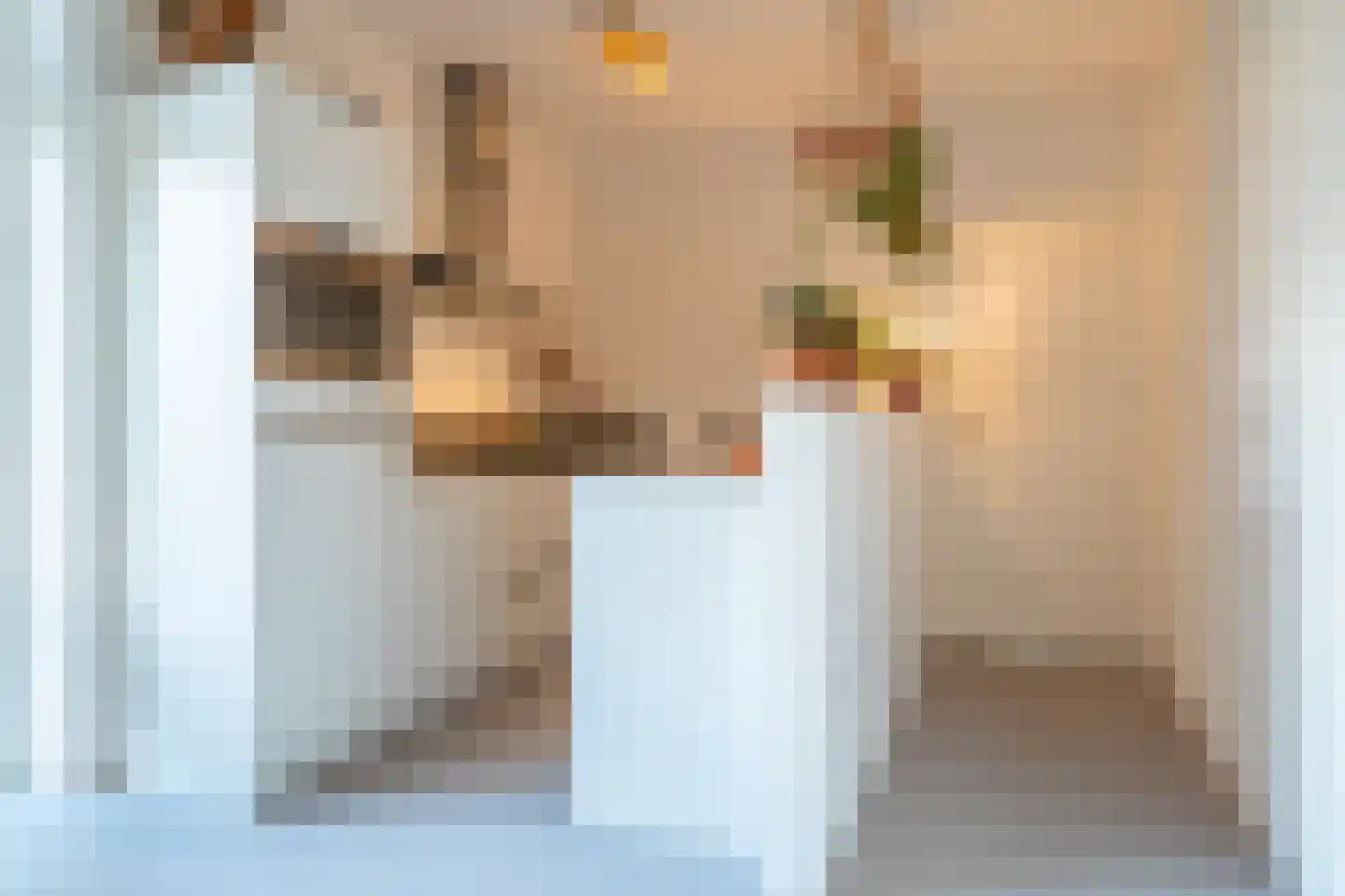Lheebroek 14 Dwingeloo thumbnail 69