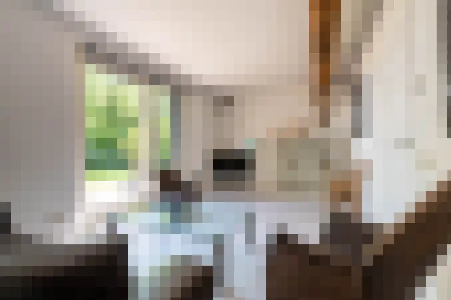 Lheebroek 14 Dwingeloo thumbnail 69