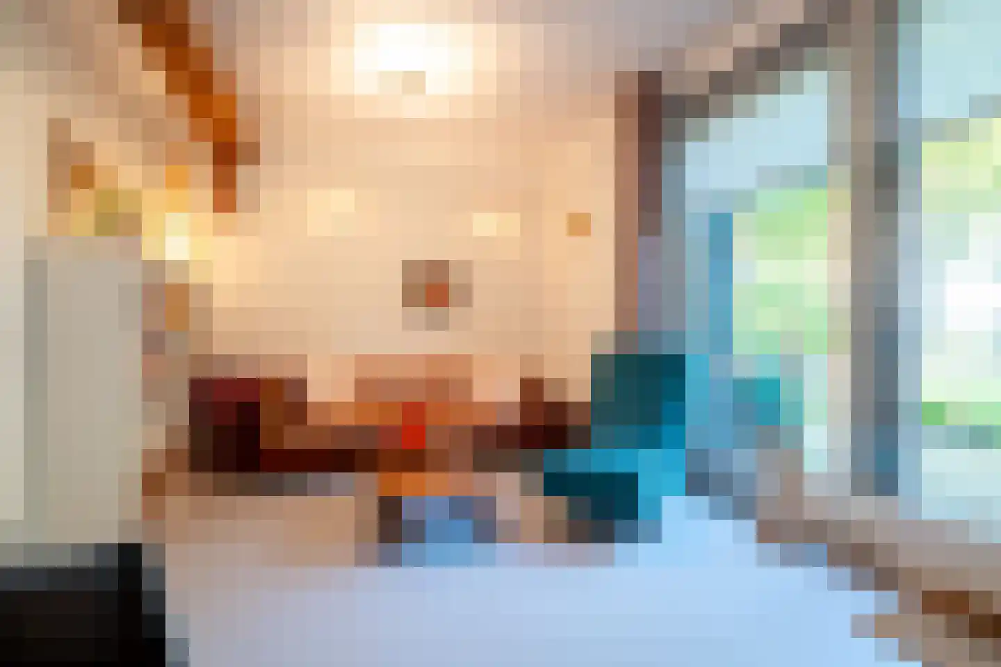 Lheebroek 14 Dwingeloo thumbnail 72