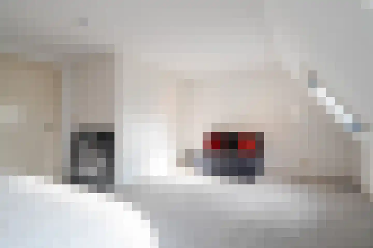 Lheebroek 14 Dwingeloo thumbnail 73
